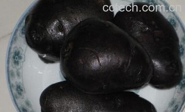 果蔬百科紫马铃薯-0