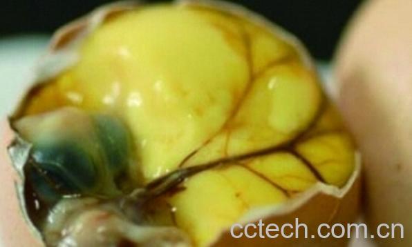 果蔬百科江苏十大怪菜-0