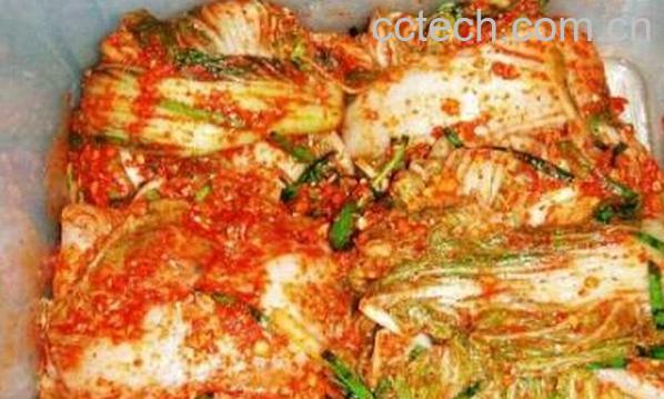 果蔬百科辣白菜-0