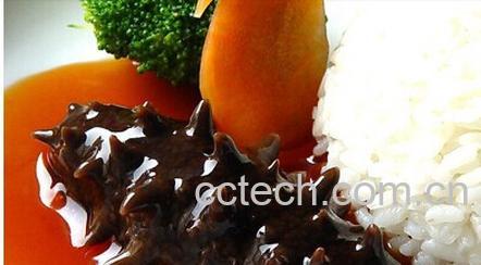 果蔬百科干海参-0