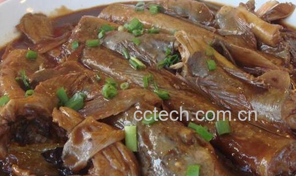 果蔬百科海鲶鱼-0