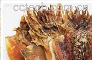 果蔬百科墨鱼干-0