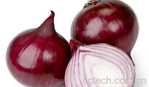 果蔬百科洋葱-0