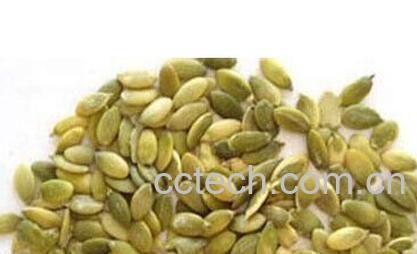 果蔬百科南瓜子-0