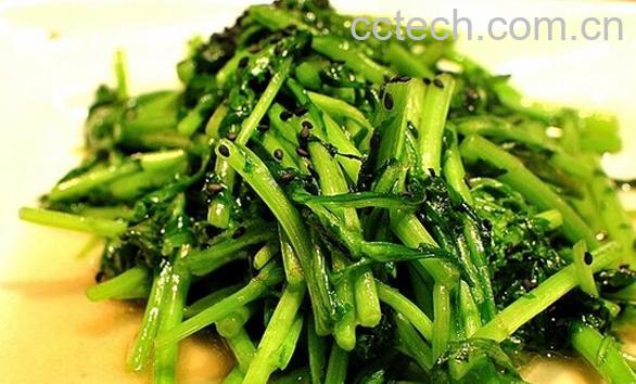 果蔬百科茼蒿菜的做法-0