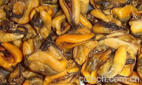 果蔬百科淡菜干-0