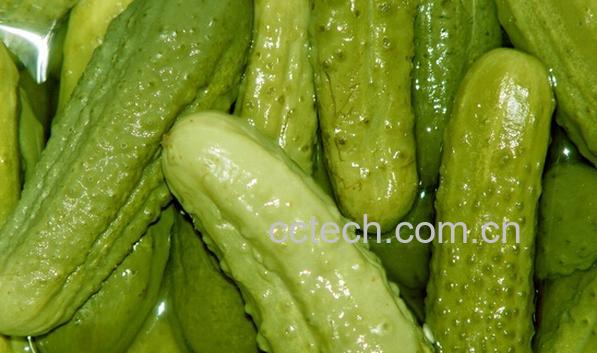 果蔬百科酸黄瓜-0