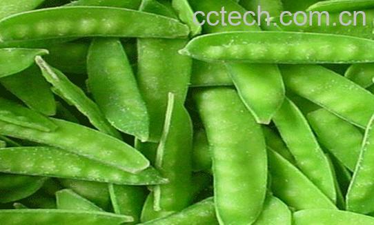 果蔬百科怀孕初期禁忌食物-0