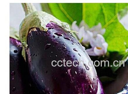 果蔬百科蒜泥茄子-0