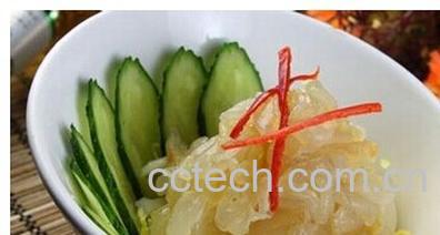 果蔬百科海蜇-0