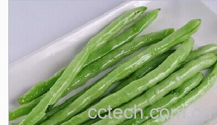 果蔬百科豆角-0