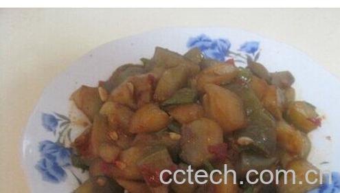 果蔬百科鱼香茄子-0