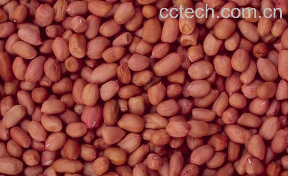 果蔬百科花生米-0