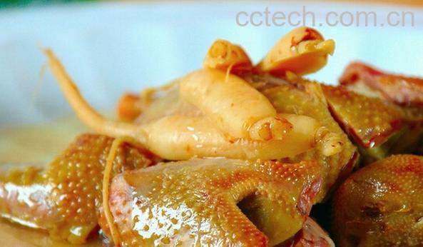 果蔬百科鸽子的营养价值-0