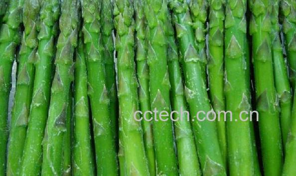 果蔬百科芦笋-0