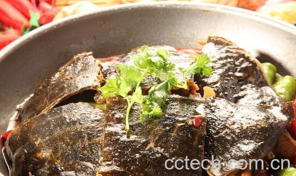 果蔬百科甲鱼-0