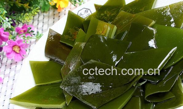 果蔬百科海带-0