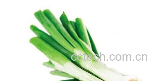 果蔬百科大葱-0