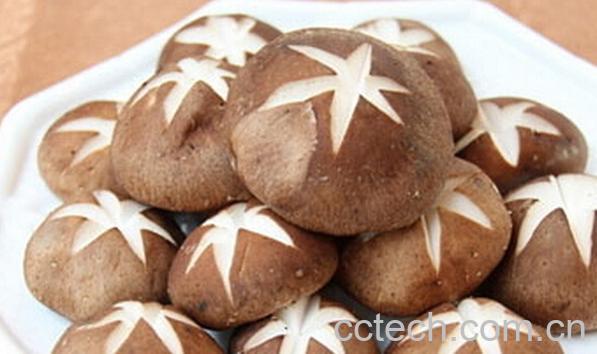 果蔬百科香菇与什么食物相克-0