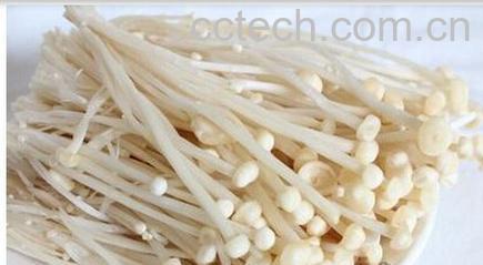 果蔬百科金针菇-0