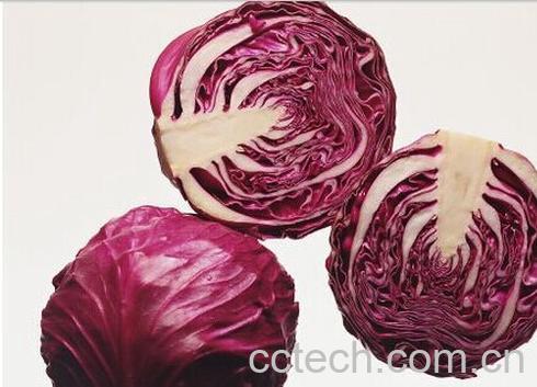 果蔬百科紫甘蓝-0