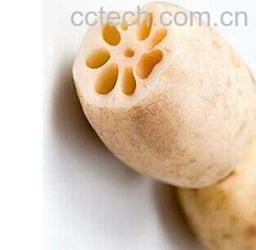 果蔬百科莲藕-0