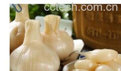 果蔬百科北方糖蒜-0