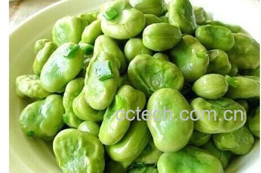 果蔬百科蚕豆-0