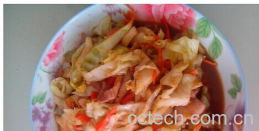 果蔬百科卷心菜-0