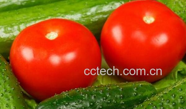 果蔬百科黄瓜与什么食物相克-0