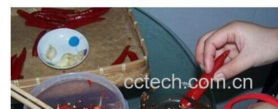 果蔬百科被辣椒辣到手-0