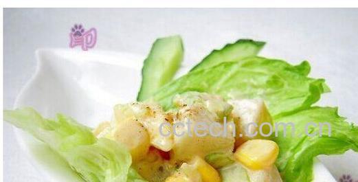 果蔬百科蔬菜沙拉-0