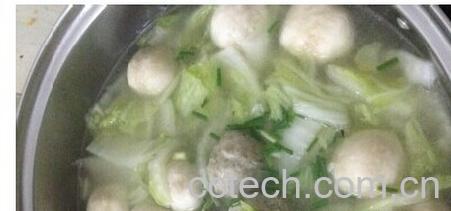 果蔬百科白菜-0