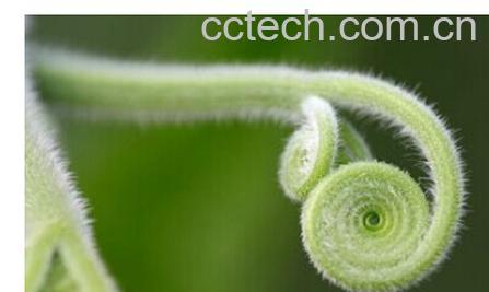 果蔬百科南瓜-0