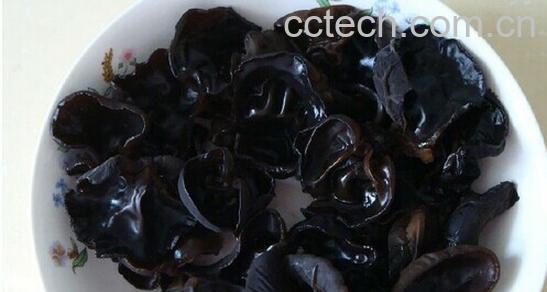 果蔬百科黑木耳-0