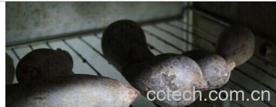 果蔬百科怎么用烤箱烤红薯-0