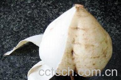 果蔬百科白薯和红薯的区别-0