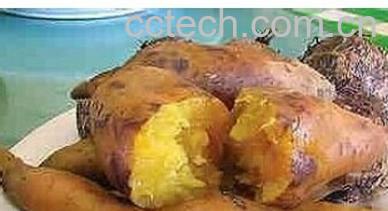 果蔬百科番薯-0