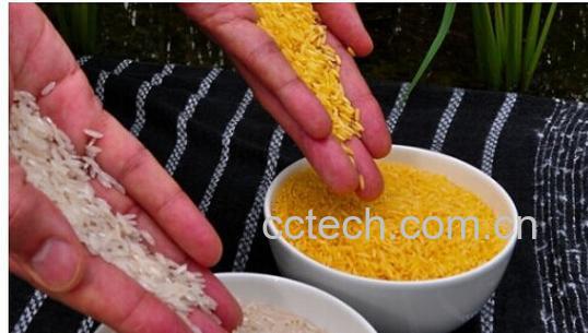 果蔬百科转基因食品-0