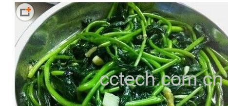 果蔬百科番薯叶-0