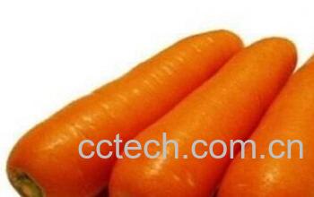 果蔬百科贫血食物-0