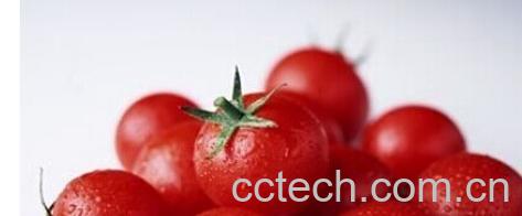 果蔬百科富含维生素c的食物有哪些 -0