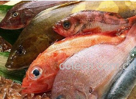 果蔬百科富含维生素d的食物有哪些 -0