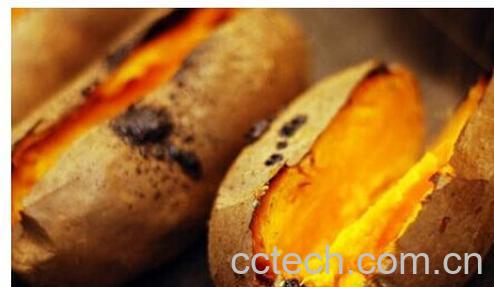 果蔬百科吃红薯有什么好处 吃红薯的好处有哪些-0