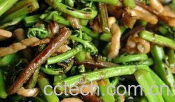 果蔬百科猴腿菜-0