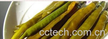 果蔬百科腌辣椒-0