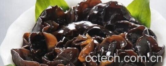 果蔬百科促进伤口愈合的食物 -0