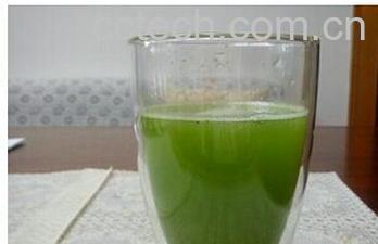 果蔬百科冬瓜汁-0