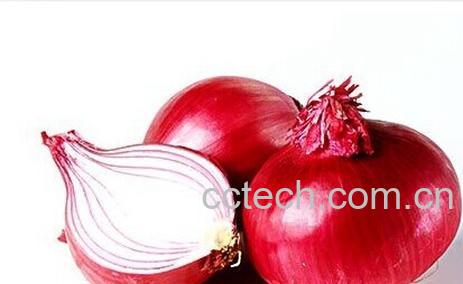 果蔬百科洋葱-0