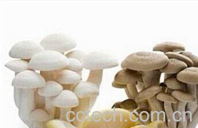 果蔬百科增加免疫力的食物 -0